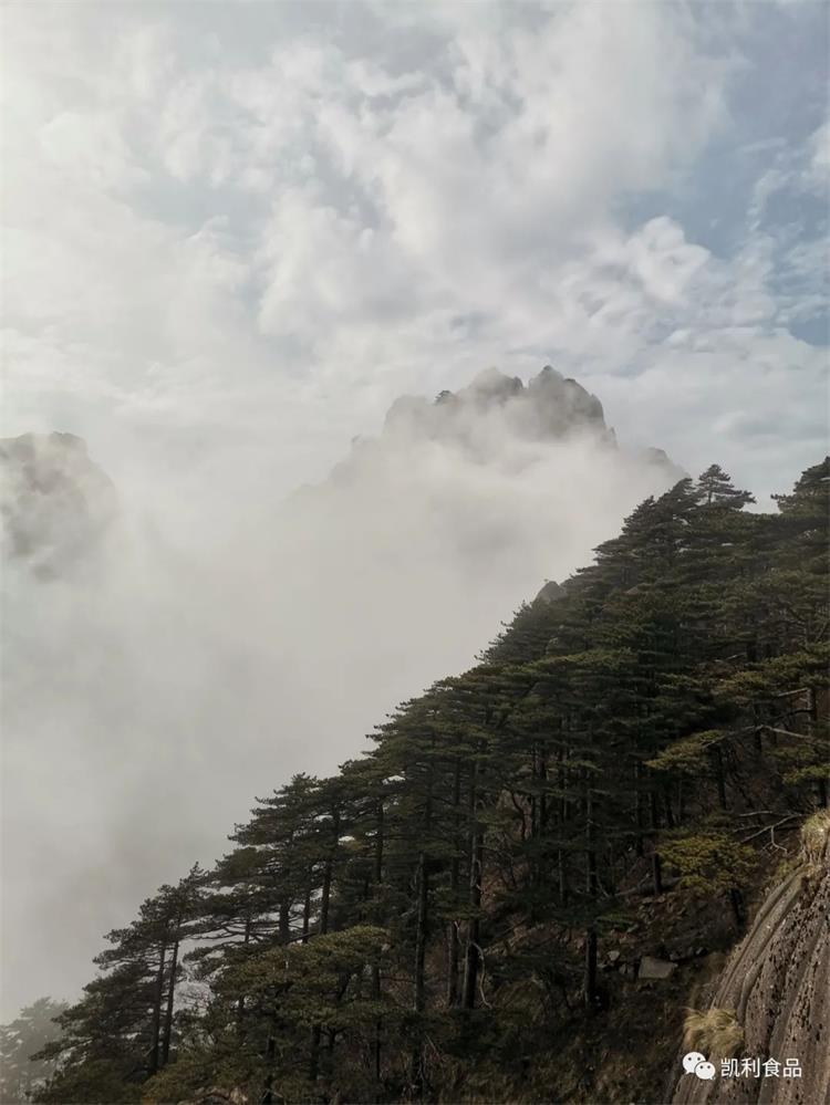 1659346019423625.jpg 77.jpg